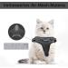 Supet Cat Dishes & Harness Set for Kittens - Reflex Stripes Adjustable Leash & Universal Fit - Black (Breast Circumference: 34.8-39.9 cm) | International Shipping - Buy Online on GoSupps.com