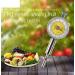Portable Pointer Fruit Hardness Tester Fruit Penetrometer for Apples Pears Grapes Oranges Bananas Berries Cherries - Buy Online on GoSupps.com