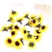 Cabilock 50pcs Fake Flower Head Sunflower Headband Sunflower Decor Sunflower Craft Ornament Clothing Box - Buy Online on GoSupps.com