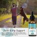 The PawStore 100% Natural Organic Hemp Oil for Pet Dogs and Cats Anxiety Flavor Nutty - Buy Online on GoSupps.com