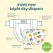 Babyganics Size 5 Diapers - 100 Count | Absorbent, Breathable, Triple Dry Protection - Buy Online on GoSupps.com