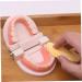 Minkissy Educational Tooth Model Set for Kids | Early Dental Hygiene Teaching Toy | Reusable ABS Prosthesis & Dentures Model - Buy Online on GoSupps.com