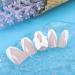 Sethexy French Long False Fingernails - 24 White Ballerina Acrylic Press-On Nails for Women & Girls - Buy Online on GoSupps.com