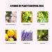 Moisturizing Gloves Deeply Penetrate and Nourish Soothe Skin Whiten and Moisturize Skin Cracked Repair Gloves for Rough Hands and Feet Dull and Aging People - Buy Online on GoSupps.com