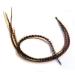 Grizzly/Ginger Feather Hair Extensions - Bonded Set of 5 Feathers - Browns & Beige - 5-7 Inches Long - Buy Online on GoSupps.com