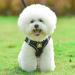 Femax Adjustable Dog Harness with Leash for Small to Medium Dogs & Cats - Soft Mesh Breathable No Pull Vest Reflective - Black (30-34cm Breast) - Buy Online on GoSupps.com