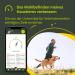 Kippy GPS Tracker Collar Evo for Dogs & Cats - Waterproof Health & Activity Tracker with Real-Time Location & LED - Rose - Buy Online on GoSupps.com