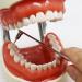 piklip Toothpick Dental Pick - Effective Teeth Cleaning & Gum Health Tool | 500 Periodontist-Recommended Toothpicks for Optimal Oral Care - Buy Online on GoSupps.com