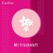 Carefree Cotton Fresh Fragrance Pantyliners - 56 Count - Buy Online on GoSupps.com