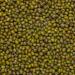 Organic Mung Beans 1kg - GMO Free, Vegan, High Fibre & Protein | Certified Organic by Wholefood Earth - Buy Online on GoSupps.com
