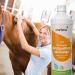 Buy Awiwa Odor Neutralizer & Cat Urine Stain Remover (1L) - Effective Pet Odor Control for Dogs & Cats | International Shipping Available - Buy Online on GoSupps.com