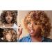 Shop Porsmeer Brown Blonde Afro Wig - Loose Curly Synthetic Hair for Women | Ombre Kinky Curly Short Wigs with Highlights - Buy Online on GoSupps.com