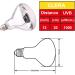 AIICIOO UVB UVA Reptile Heating Lamp 125W - Promotes Pets Calcium Absorption | Self-Ballasted Basking Bulb for Amphibians | D3 Simulates Sunlight | E27 Socket - Buy Online on GoSupps.com