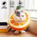 Buy Crazy Bean Postoperative Protective Collar for Cats | Soft Adjustable & Safe Kitten Collar - Sweet Elisabethane in Orange - Buy Online on GoSupps.com
