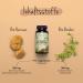 Bio Brahmi & Hericium Vegavero | 900mg Bacopa Monnieri + 500mg Hericium - 90 Capsules | German Quality No Additives 2% Bacosides & Hericenone - Buy Online on GoSupps.com