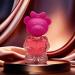 Little Bear Eau de Toilette Fresh Natural and Long Lasting Cute Eau de Toilette Little Bear Compact and Portable Red 1 oz. - Buy Online on GoSupps.com