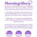 Buzzbox Coffee Beans 250g AWARD WINNING - Morning Glory Blend of two Medium Roast Speciality Single Origin whole Coffee Beans from Africa & South American Morning Glory Blend 250 g (Pack of 1) - Buy Online on GoSupps.com