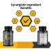 Cognisync Nootropic Brain Health Supplement 60ct | Cognitive Enhancement with Lion's Mane & Alpha-GPC | Memory & Brain Fog Support | 12 Powerful Ingredients - Buy Online on GoSupps.com