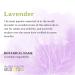 Aura Cacia 100% Pure Lavender Essential Oil - 4 fl oz (118 ml) | Therapeutic Grade Aromatherapy - Buy Online on GoSupps.com