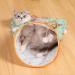 IXYHKB Cat Play Tunnel Cat Tunnels for Indoor Cats Cat Tunnel Bag Collapsible Cat Tunnel Bed Self Interactive Cat Toys Pet Play Tunnel with Plush Ball for Cat Dog Rabbit Hamster Green - Buy Online on GoSupps.com