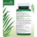 Buy Bacterial Culture Bifidus Capsules - GENESIS Bifidobacterium Complex BB - 90 Capsules | 250mg | International Shipping Available - Buy Online on GoSupps.com