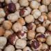 Organic Dry Roasted Hazelnuts - 2 lb Bag | Unsalted, NON-GMO, Gluten-Free, Kosher | Grown in USA | Resealable, Keto-Friendly - Buy Online on GoSupps.com