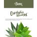Buy Eucalyptus Spearmint Wax Melts | Shortie s Candle Co. | Highly Scented 3 Oz Bar | Essential & Natural Oils | Fresh Air Freshener Cubes - Buy Online on GoSupps.com