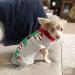 Christmas Dog Sweater | Warm Turtleneck Knitwear | Winter Pet Costume for Puppies & Dogs - Buy Online on GoSupps.com