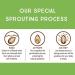 Organic Raw Unsalted Sprouted Walnuts - USDA Certified, Gluten-Free, Vegan - 10 Oz 3 Pack - Lark Ellen Farm - Buy Online on GoSupps.com