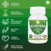 Aloevera Capsules | Pack of 60 Capsules 500mg | Pure & Natural Herb Ghritkumari | Gluten Free 1 - Buy Online on GoSupps.com