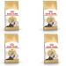 Royal Canin Persian Adult Dry Cat Food 4 x 400g