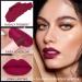 5Pcs Matte Lipstick Set for Women - Long Lasting Smudge Proof Lipstick Kit in Dark Light Shades - Buy Online on GoSupps.com