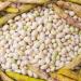 Dried Haricot Coco Beans 5kg - Buy Online on GoSupps.com