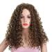European and American Fashion Wigs Black African Small Volume Cute Explosion Head Chemical Fiber Wig Wig Female Natural Black Natural Black