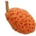 minkissy Baby Sponge for Bathing Body Wash Sponge Shower Loufa Sponge Natural Loofah Sponge Shower Loufah Sponge Dove Body Wash Dove Shower Gel Dish Bath Sponge Sponge Bath Soap Face - Buy Online on GoSupps.com