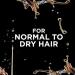L'Oreal Paris Hair Expertise Fine Coconut Oil Shampoo for Dry Hair 591ml Extraordinary Oil Fne Coconut 591 ml (Pack of 1) Conditioner - Buy Online on GoSupps.com