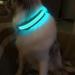 Masbrill Luminous LED Dog Collar - Waterproof Adjustable Lighting for Small Medium & Large Dogs (Black L 48-60cm) - 3 Light Modes - Buy Online on GoSupps.com