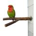 8 Pcs Bird Perches Parrot Stand Natural Wood Perch Parakeet Toys BirdCage Accessories for Conure Cockatiels Budgie Lovebird - Buy Online on GoSupps.com