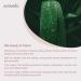 Auravedic Kumkumadi Oil 100ml - Natural Beauty Elixir for Glowing Skin - Buy Online on GoSupps.com