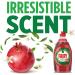 Fairy Original Clean & Fresh Washing Up Liquid Pomegranate & Grapefruit with LiftAction 10 x 320ml Box Pack - Buy Online on GoSupps.com