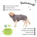 Buy Lills Dog Wadder - 100% Organic Cotton Bathrobe for Dogs | Extra Absorbent Stone Gray XXL (70 cm Back Length) - International Shipping Available - Buy Online on GoSupps.com