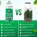 VVNATURALS Sugar-Free Chlorella Spirulina Seamoss Gummy - Immune, Detox & Joint Support | Keto-Friendly Alkaline Supplement for Women & Men | Non-GMO | Made in USA (60 Vegan Gummies) - Buy Online on GoSupps.com