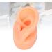 Silicone Ear Model - Soft Simulation Hearing Tool for Sound Aid Display (Left Ear) - Fleshcolor with Black Stand - 1 Count - Buy Online on GoSupps.com