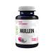 Hepatica Mullein Mullein (Verbascum Thapsus) 500mg 180 Vegan Capsules, Tested by Third Party Laboratory, Gluten Free and GMO Free