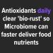Culinary Antioxidants - Microbiome Friendly Liquid Fermented Botanicals | Pumpkin Pie Flavor | International Shipping - Buy Online on GoSupps.com