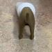 Pooping Dog Butt Toothpaste Topper Pooping Dog Butt Toothpaste Cap Pooping Dog Butt Toothpaste Dispenser Baby Toothpaste Dispenser Toothpaste Topper Dog Pooping Toothpaste Cap Prank Gift - Buy Online on GoSupps.com