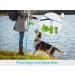 Taglory Reflective Dog Leash for Medium & Large Dogs - Padded Handle Supports 10-75kg 1.2m x 2.5cm Himmel Blue - Perfect for International Shipping - Buy Online on GoSupps.com