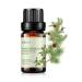 Pine Needles Essential Oil - 100% Pure Organic Natural Plant (Pinus acus) Pine Needles Oil for Diffuser Aroma Spa Massage Yoga Perfume 0.33oz