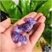 Natural Crystal Cluster Stone Amethyst Quartz Ornaments Beautiful Crystal Cluster 5PC - Buy Online on GoSupps.com