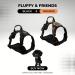 Reflective Dog Harness for Small & Medium Dogs - Nylon Breathable Mesh - Ideal for Training Puppies - Size M (Black) - Buy Online on GoSupps.com